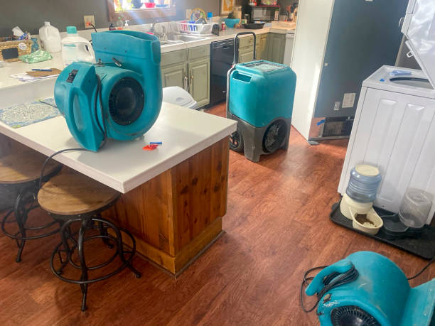 Best Water damage restoration near me  in El Dorado Hills, CA
