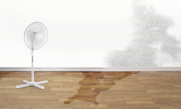 Best Water damage restoration near me  in El Dorado Hills, CA