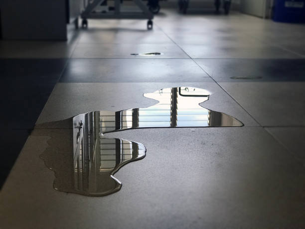 Best Professional water damage repair  in El Dorado Hills, CA