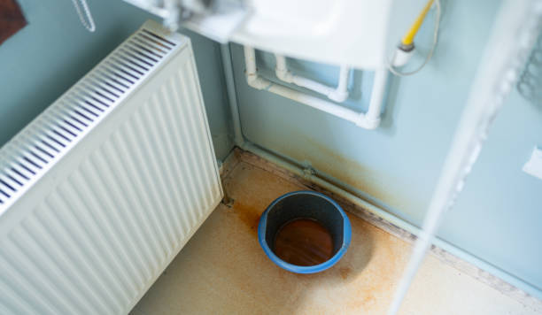 Best Local water damage restoration  in El Dorado Hills, CA