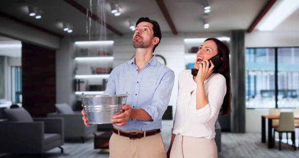 Best Water damage restoration specialists  in El Dorado Hills, CA