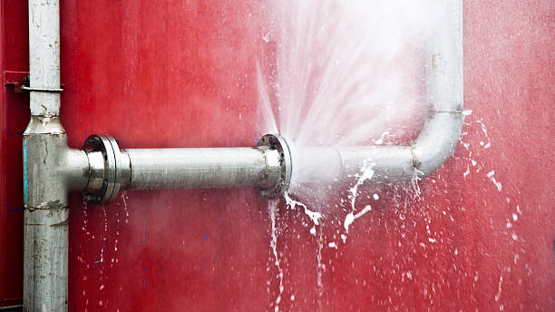 Best Flooded house restoration  in El Dorado Hills, CA